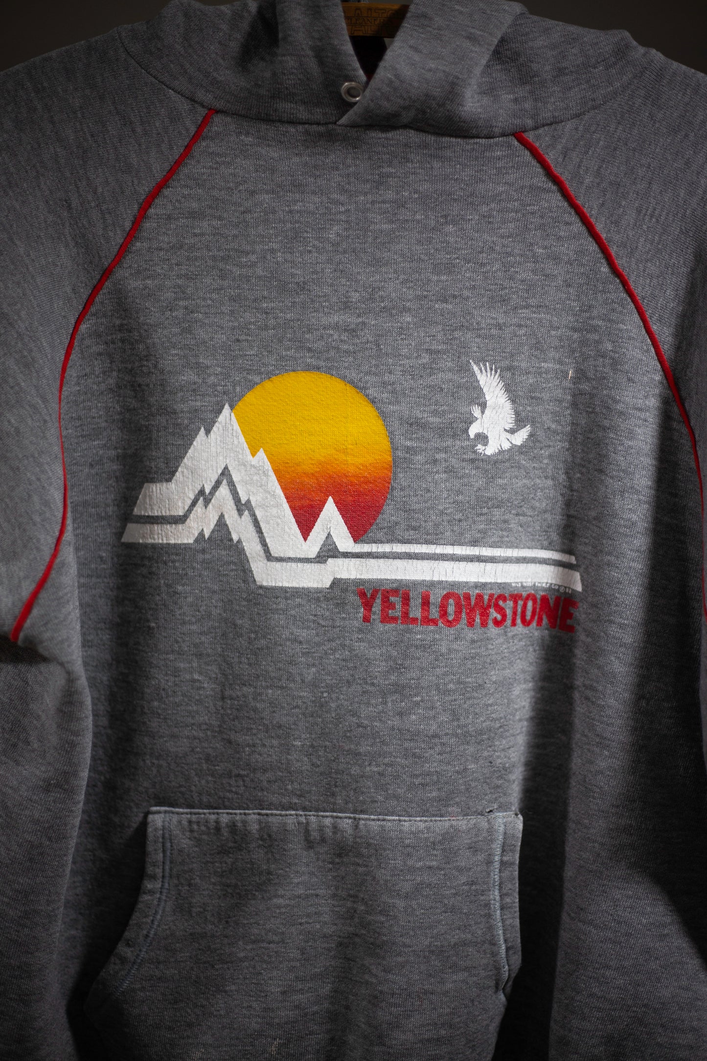 1982 Yellowstone Hoodie | Medium